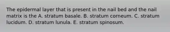 The epidermal layer that is present in the nail bed and the nail matrix is the A. stratum basale. B. stratum corneum. C. stratum lucidum. D. stratum lunula. E. stratum spinosum.