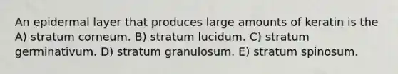 An epidermal layer that produces large amounts of keratin is the A) stratum corneum. B) stratum lucidum. C) stratum germinativum. D) stratum granulosum. E) stratum spinosum.