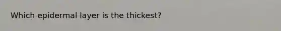 Which epidermal layer is the thickest?