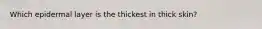 Which epidermal layer is the thickest in thick skin?