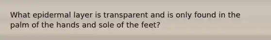 What epidermal layer is transparent and is only found in the palm of the hands and sole of the feet?