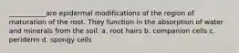 ___________are epidermal modifications of the region of maturation of the root. They function in the absorption of water and minerals from the soil. a. root hairs b. companion cells c. periderm d. spongy cells