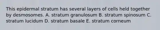 This epidermal stratum has several layers of cells held together by desmosomes. A. stratum granulosum B. stratum spinosum C. stratum lucidum D. stratum basale E. stratum corneum