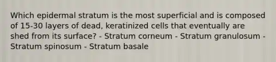 Which epidermal stratum is the most superficial and is composed of 15-30 layers of dead, keratinized cells that eventually are shed from its surface? - Stratum corneum - Stratum granulosum - Stratum spinosum - Stratum basale