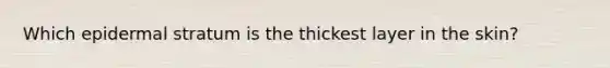 Which epidermal stratum is the thickest layer in the skin?