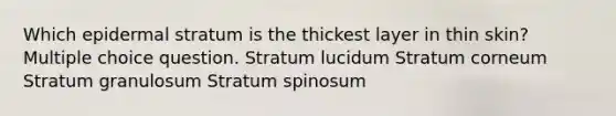 Which epidermal stratum is the thickest layer in thin skin? Multiple choice question. Stratum lucidum Stratum corneum Stratum granulosum Stratum spinosum