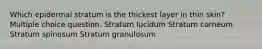 Which epidermal stratum is the thickest layer in thin skin? Multiple choice question. Stratum lucidum Stratum corneum Stratum spinosum Stratum granulosum