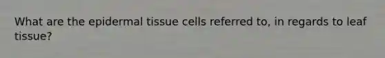 What are the epi<a href='https://www.questionai.com/knowledge/kRKdINDJId-dermal-tissue' class='anchor-knowledge'>dermal tissue</a> cells referred to, in regards to leaf tissue?