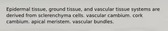 Epi<a href='https://www.questionai.com/knowledge/kRKdINDJId-dermal-tissue' class='anchor-knowledge'>dermal tissue</a>, <a href='https://www.questionai.com/knowledge/kb0kKBaH0H-ground-tissue' class='anchor-knowledge'>ground tissue</a>, and vascular tissue systems are derived from sclerenchyma cells. vascular cambium. cork cambium. apical meristem. vascular bundles.