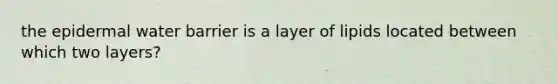 the epidermal water barrier is a layer of lipids located between which two layers?