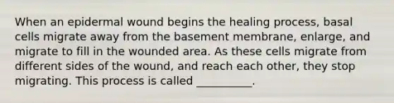 When an epidermal wound begins the healing process, basal cells migrate away from the basement membrane, enlarge, and migrate to fill in the wounded area. As these cells migrate from different sides of the wound, and reach each other, they stop migrating. This process is called __________.