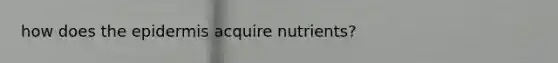 how does the epidermis acquire nutrients?