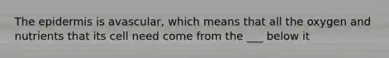 The epidermis is avascular, which means that all the oxygen and nutrients that its cell need come from the ___ below it