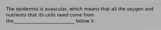 <a href='https://www.questionai.com/knowledge/kBFgQMpq6s-the-epidermis' class='anchor-knowledge'>the epidermis</a> is avascular, which means that all the oxygen and nutrients that its cells need come from the___________________________ below it.