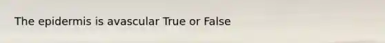 The epidermis is avascular True or False