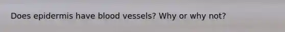 Does epidermis have blood vessels? Why or why not?