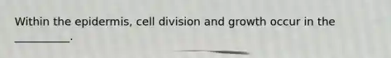 Within the epidermis, cell division and growth occur in the __________.