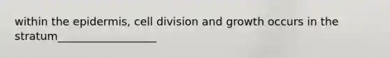 within <a href='https://www.questionai.com/knowledge/kBFgQMpq6s-the-epidermis' class='anchor-knowledge'>the epidermis</a>, <a href='https://www.questionai.com/knowledge/kjHVAH8Me4-cell-division' class='anchor-knowledge'>cell division</a> and growth occurs in the stratum__________________