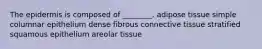 The epidermis is composed of ________. adipose tissue simple columnar epithelium dense fibrous connective tissue stratified squamous epithelium areolar tissue