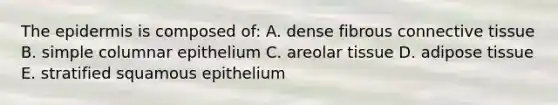 The epidermis is composed of: A. dense fibrous connective tissue B. simple columnar epithelium C. areolar tissue D. adipose tissue E. stratified squamous epithelium