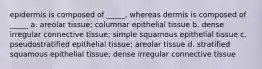 epidermis is composed of _____, whereas dermis is composed of _____ a. areolar tissue; columnar epithelial tissue b. dense irregular connective tissue; simple squamous epithelial tissue c. pseudostratified epithelial tissue; areolar tissue d. stratified squamous epithelial tissue; dense irregular connective tissue