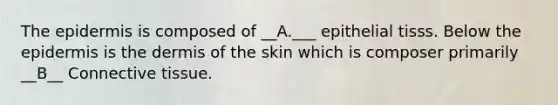 The epidermis is composed of __A.___ epithelial tisss. Below the epidermis is the dermis of the skin which is composer primarily __B__ Connective tissue.