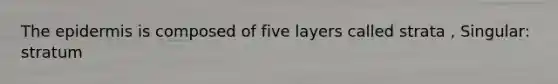 The epidermis is composed of five layers called strata , Singular: stratum