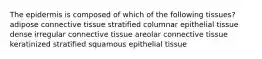 The epidermis is composed of which of the following tissues? adipose connective tissue stratified columnar epithelial tissue dense irregular connective tissue areolar connective tissue keratinized stratified squamous epithelial tissue