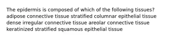 <a href='https://www.questionai.com/knowledge/kBFgQMpq6s-the-epidermis' class='anchor-knowledge'>the epidermis</a> is composed of which of the following tissues? adipose <a href='https://www.questionai.com/knowledge/kYDr0DHyc8-connective-tissue' class='anchor-knowledge'>connective tissue</a> stratified columnar <a href='https://www.questionai.com/knowledge/k7dms5lrVY-epithelial-tissue' class='anchor-knowledge'>epithelial tissue</a> dense irregular connective tissue areolar connective tissue keratinized stratified squamous epithelial tissue