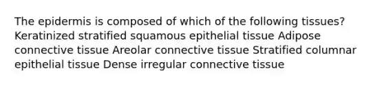 The epidermis is composed of which of the following tissues? Keratinized stratified squamous epithelial tissue Adipose connective tissue Areolar connective tissue Stratified columnar epithelial tissue Dense irregular connective tissue