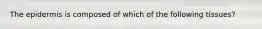 The epidermis is composed of which of the following tissues?