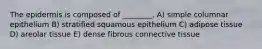 The epidermis is composed of ________. A) simple columnar epithelium B) stratified squamous epithelium C) adipose tissue D) areolar tissue E) dense fibrous connective tissue