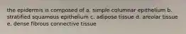 the epidermis is composed of a. simple columnar epithelium b. stratified squamous epithelium c. adipose tissue d. areolar tissue e. dense fibrous connective tissue