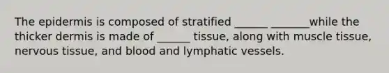 The epidermis is composed of stratified ______ _______while the thicker dermis is made of ______ tissue, along with muscle tissue, nervous tissue, and blood and lymphatic vessels.