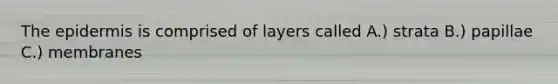 The epidermis is comprised of layers called A.) strata B.) papillae C.) membranes