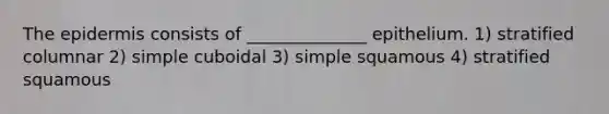 <a href='https://www.questionai.com/knowledge/kBFgQMpq6s-the-epidermis' class='anchor-knowledge'>the epidermis</a> consists of ______________ epithelium. 1) stratified columnar 2) simple cuboidal 3) simple squamous 4) stratified squamous