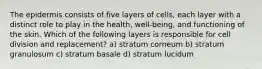 The epidermis consists of five layers of cells, each layer with a distinct role to play in the health, well-being, and functioning of the skin. Which of the following layers is responsible for cell division and replacement? a) stratum corneum b) stratum granulosum c) stratum basale d) stratum lucidum