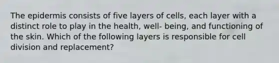 <a href='https://www.questionai.com/knowledge/kBFgQMpq6s-the-epidermis' class='anchor-knowledge'>the epidermis</a> consists of five layers of cells, each layer with a distinct role to play in the health, well- being, and functioning of the skin. Which of the following layers is responsible for <a href='https://www.questionai.com/knowledge/kjHVAH8Me4-cell-division' class='anchor-knowledge'>cell division</a> and replacement?