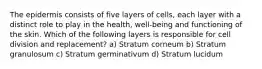 The epidermis consists of five layers of cells, each layer with a distinct role to play in the health, well-being and functioning of the skin. Which of the following layers is responsible for cell division and replacement? a) Stratum corneum b) Stratum granulosum c) Stratum germinativum d) Stratum lucidum