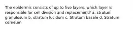 The epidermis consists of up to five layers, which layer is responsible for cell division and replacement? a. stratum granulosum b. stratum lucidum c. Stratum basale d. Stratum corneum