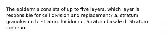 The epidermis consists of up to five layers, which layer is responsible for cell division and replacement? a. stratum granulosum b. stratum lucidum c. Stratum basale d. Stratum corneum