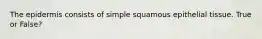 The epidermis consists of simple squamous epithelial tissue. True or False?