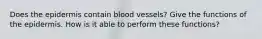 Does the epidermis contain blood vessels? Give the functions of the epidermis. How is it able to perform these functions?