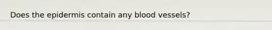 Does the epidermis contain any blood vessels?