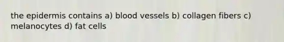 the epidermis contains a) blood vessels b) collagen fibers c) melanocytes d) fat cells