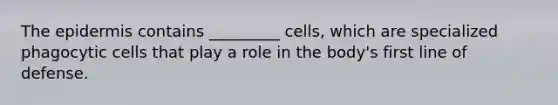The epidermis contains _________ cells, which are specialized phagocytic cells that play a role in the body's first line of defense.