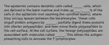 The epidermis contains dendritic cells called ______ cells, which are derived in the bone marrow and make up ____-_____% of the cells in the epidermis (not counting the cornified layers), where they occupy spaces between the keratinocytes. These cells engulf protein antigens by _______, partially digest these proteins into shorter polypeptides, and then move these polypeptides to the cell surface. At the cell surface, the foreign polypeptides are associated with molecules called ______. This allows the antigen-presenting cells to activate the T lymphocytes.