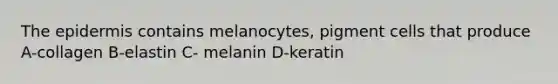 The epidermis contains melanocytes, pigment cells that produce A-collagen B-elastin C- melanin D-keratin