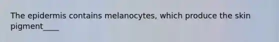 The epidermis contains melanocytes, which produce the skin pigment____