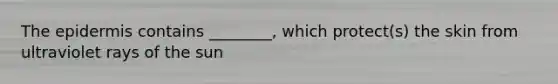 The epidermis contains​ ________, which​ protect(s) the skin from ultraviolet rays of the sun